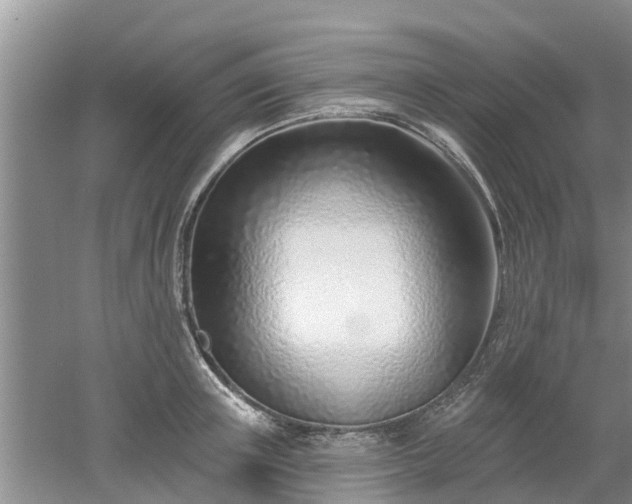 X0000053000851200507151919