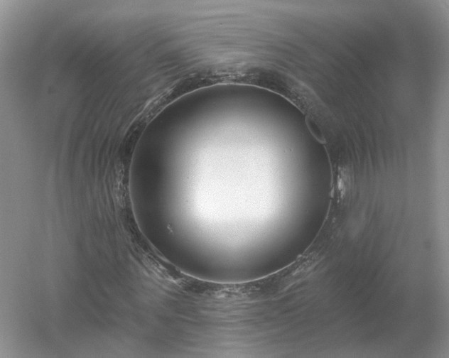 X0000053000867200507151919