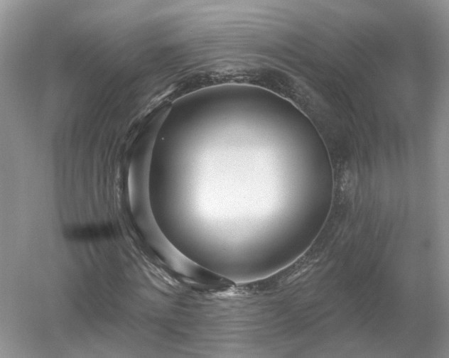 X0000053000868200507151919