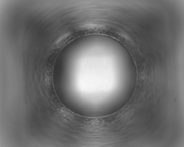 X0000053000869200507151919