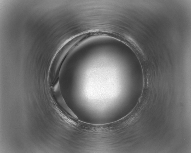 X0000053000876200507151918