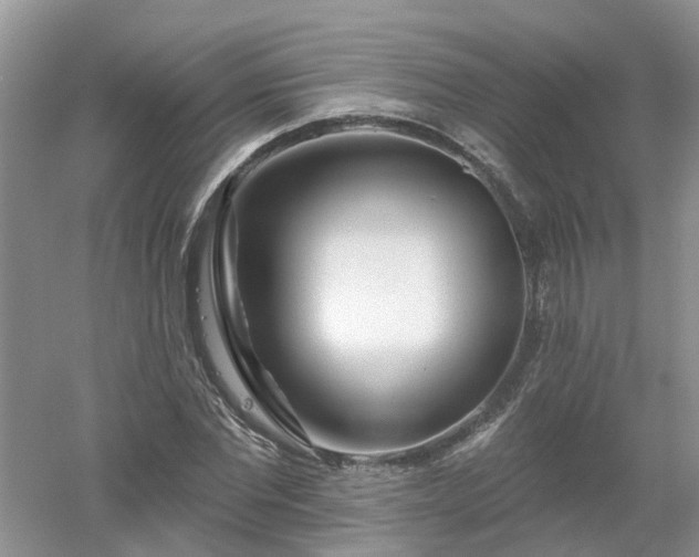 X0000053000877200507151918