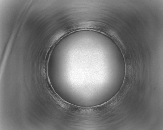 X0000053000882200507151918