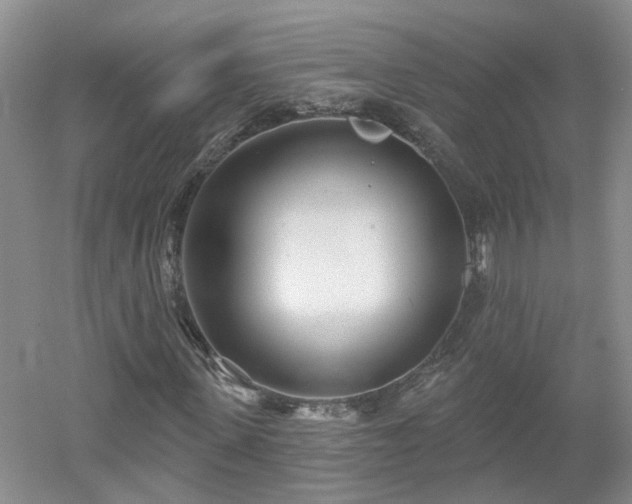 X0000053000915200507151917