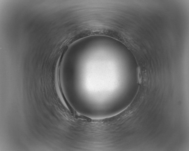 X0000053000916200507151917
