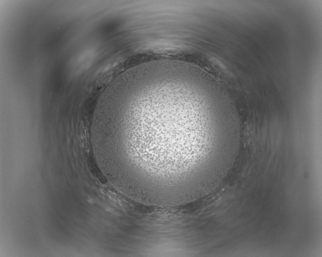 X0000053000917200507151917