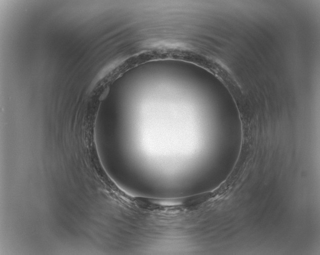 X0000053000919200507151917