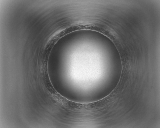 X0000053000920200507151917