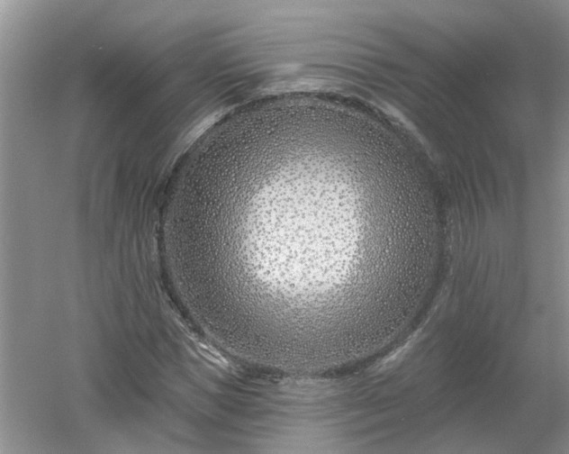 X0000053000921200507151917