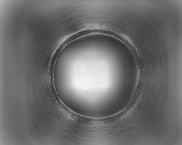 X0000053000927200507151917