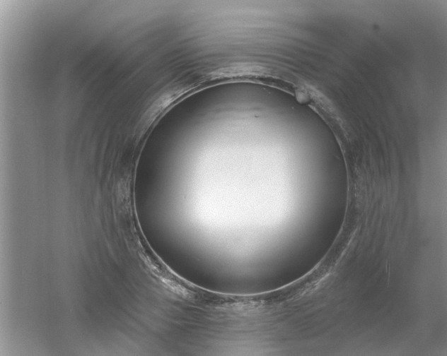 X0000053000937200507151917
