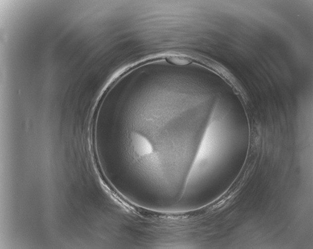 X0000053000958200507151918
