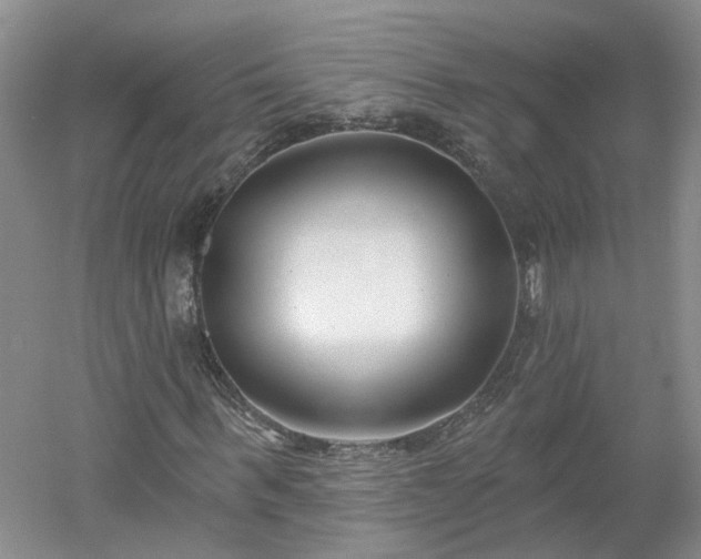 X0000053000963200507151917