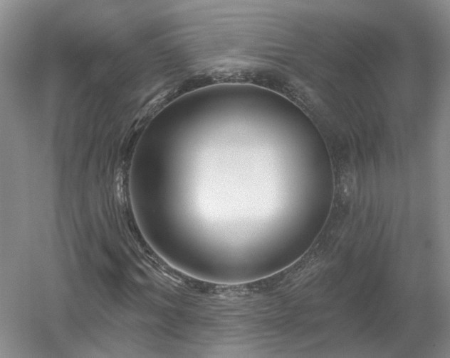 X0000053000964200507151917