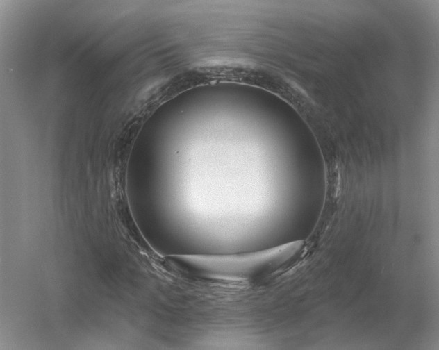 X0000053000965200507151917