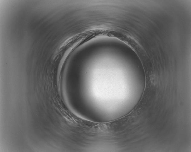 X0000053000968200507151917