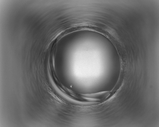 X0000053000969200507151917