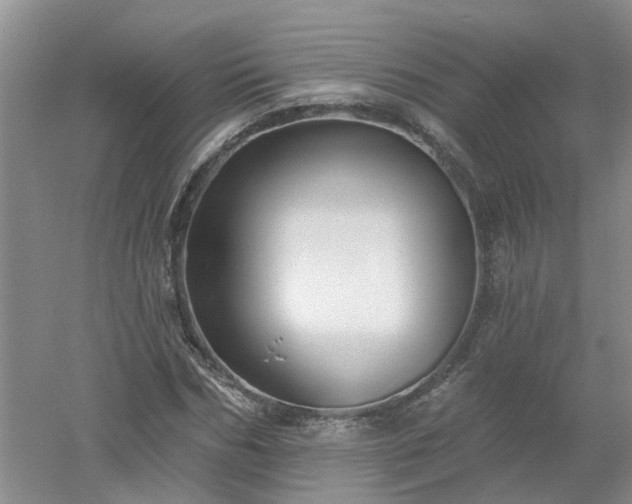X0000053000970200507151917