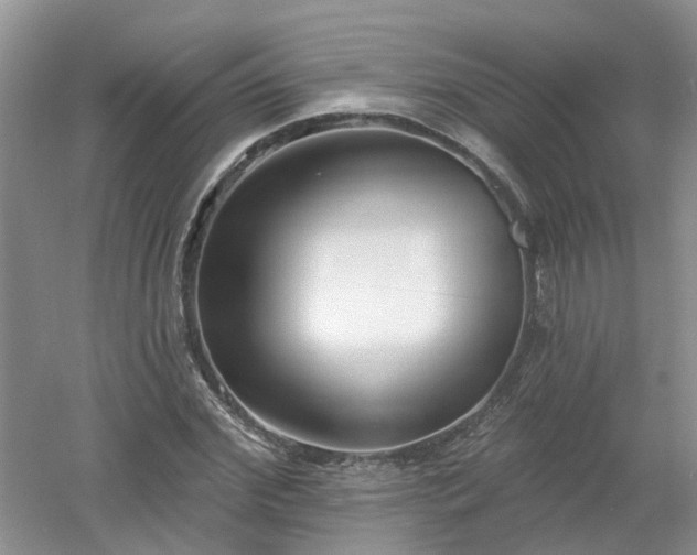 X0000053000972200507151917