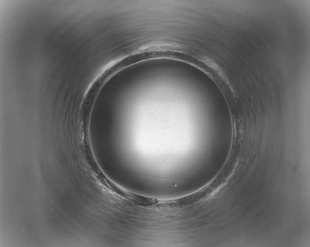 X0000053000973200507151917