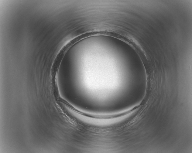 X0000053000975200507151917