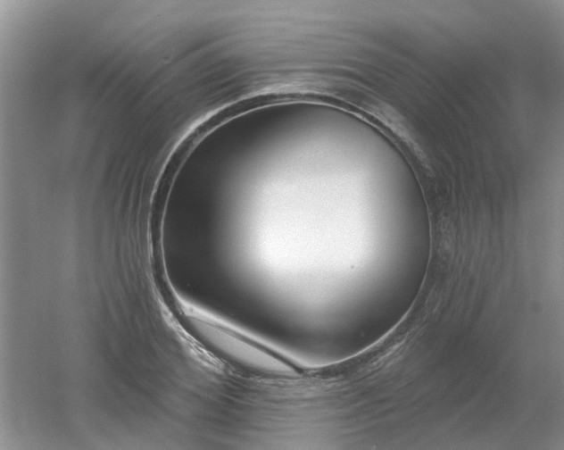 X0000053000980200507151917