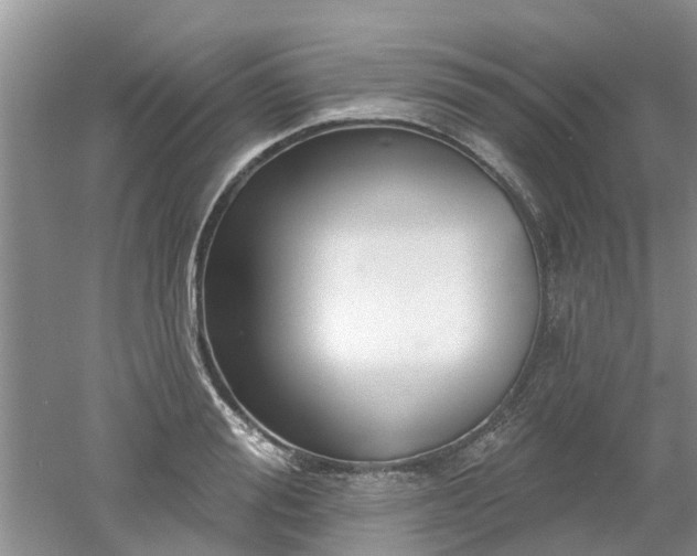 X0000053000988200507151917