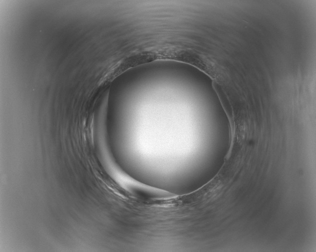 X0000053001010200507151915
