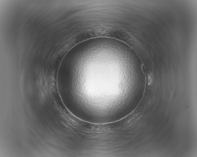 X0000053001011200507151915