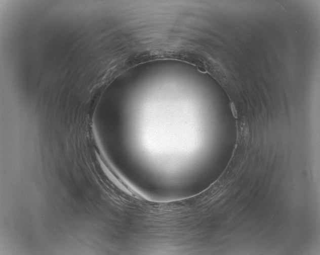 X0000053001012200507151915
