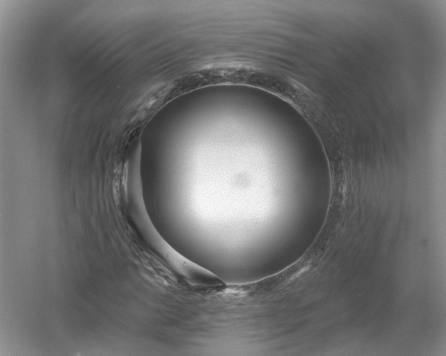 X0000053001014200507151915