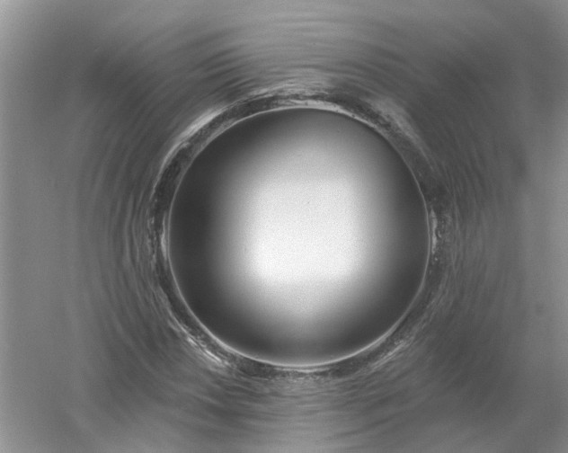 X0000053001018200507151916