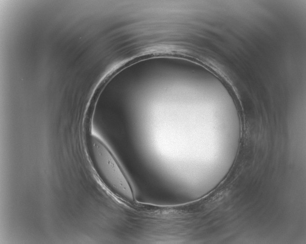 X0000053001045200507151916