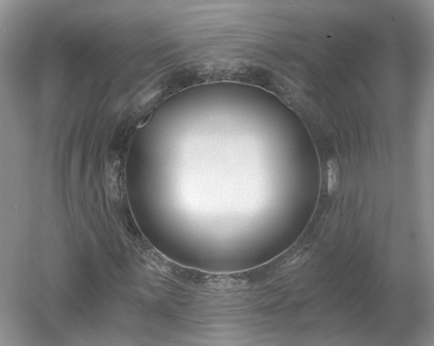 X0000053001059200507151915
