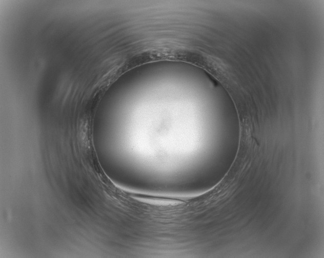 X0000053001060200507151915