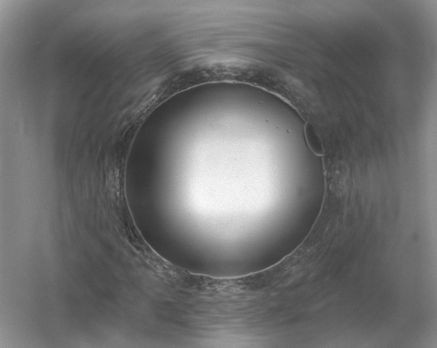 X0000053001061200507151915