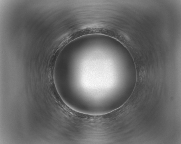 X0000053001062200507151915