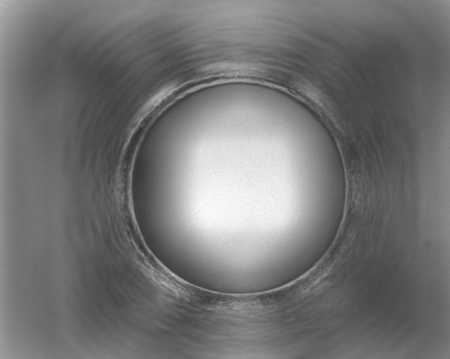 X0000053001074200507151915