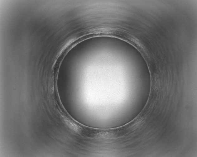 X0000053001075200507151915