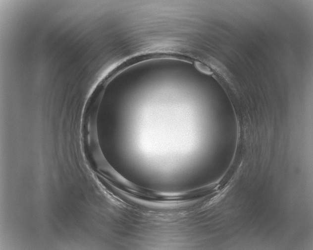 X0000053001077200507151915