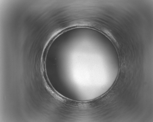 X0000053001080200507151915