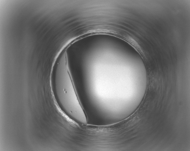 X0000053001084200507151915