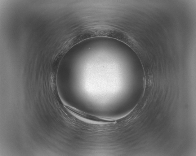 X0000053001108200507151914