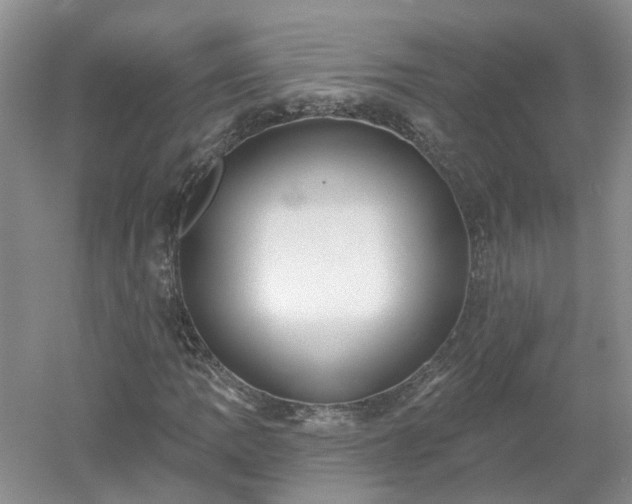 X0000053001109200507151914