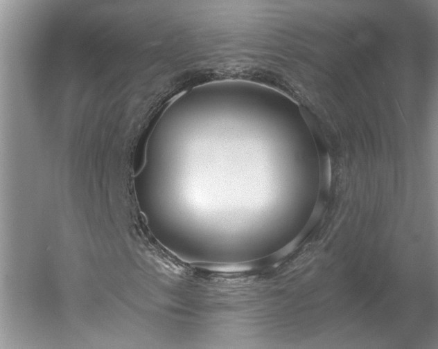 X0000053001153200507151914