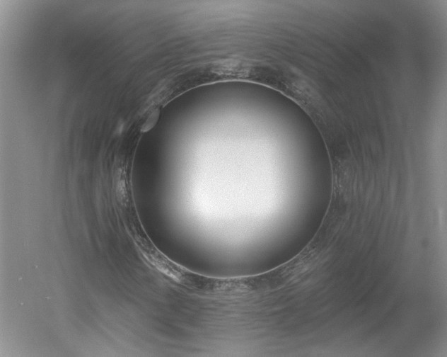 X0000053001154200507151914