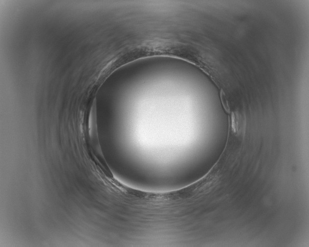 X0000053001155200507151914