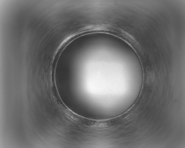 X0000053001174200507151913