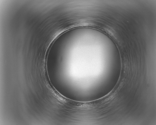 X0000053001178200507151913