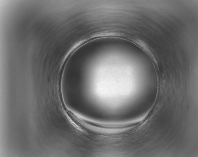 X0000053001197200507151913